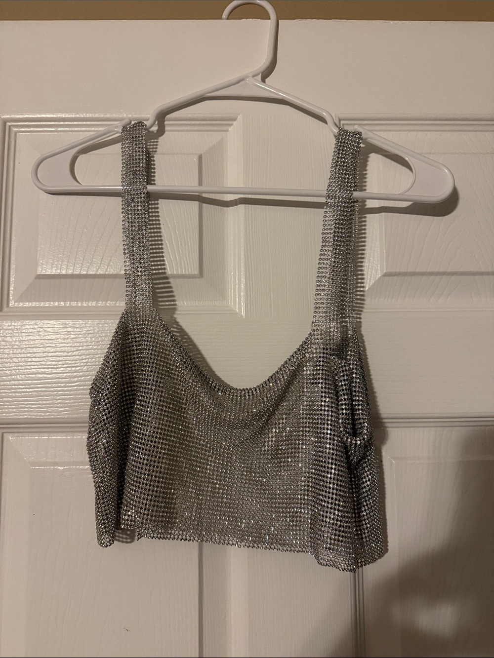 Silver Mesh Cropped Tank Top - Sparkling Party Top